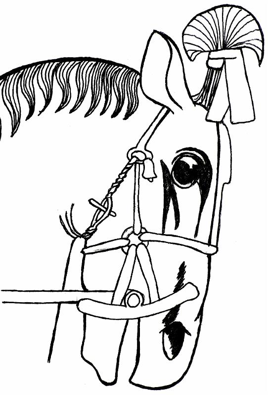 Skythischer Hengst (Persepolis)T36A1.jpg - Die Herkunftsbezeichnungen der Pferde sind den Delegationen zugeordnet, die laut G. Walser in den Persepolis-Reliefs Pferde führen.